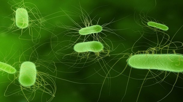 Antimicrobial Additives Market