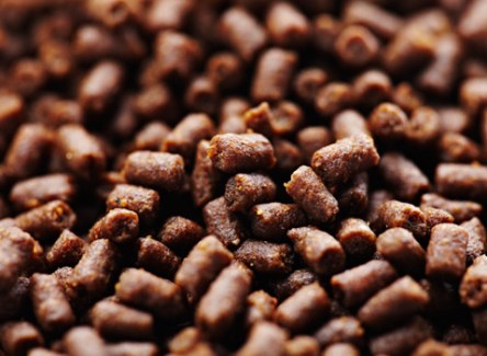 Aquafeed market